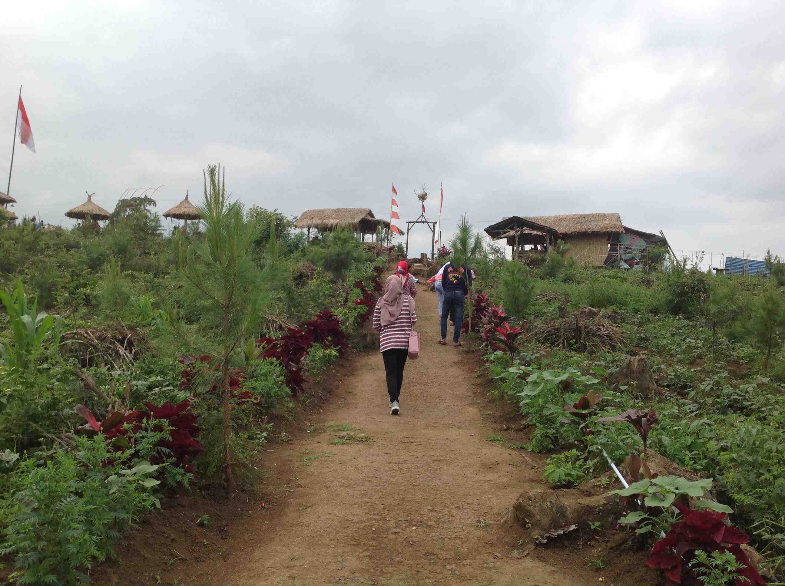 Puncak Asmoro Banyuwangi